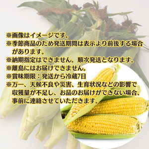 イエローコーン 約3kg