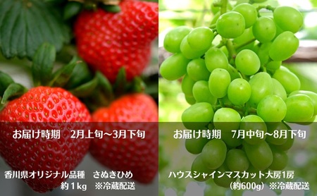 【2026年受付】 観音寺市からの特産フルーツ 定期便 年間4回