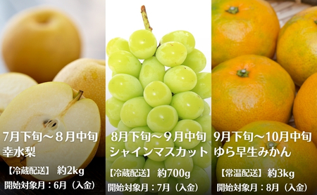 【2026年受付】 観音寺からのフルーツ定期便 年12回