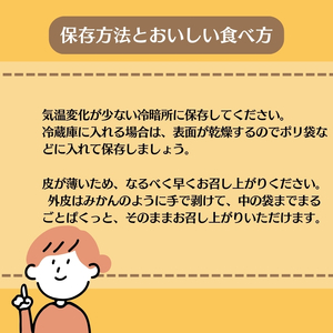 2026年先行予約 はるみ 約3kg みかん 柑橘類 果物 フルーツ　 