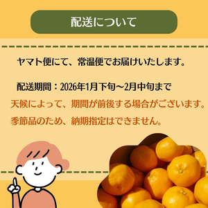 2026年先行予約 はるみ 約3kg みかん 柑橘類 果物 フルーツ　 