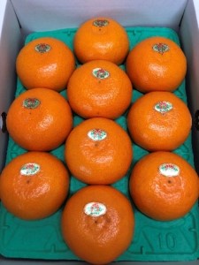 せとか 約3kg化粧箱 果物類 みかん 柑橘類 フルーツ