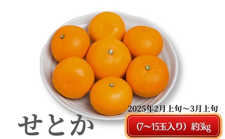 《とろける美味》 せとか 約3kg 甘い みかん （ お取り寄せ おすすめ 美味しい せとかみかん せとかふるさと納税 季節限定 柑橘 蜜柑 かんきつ フルーツ 青果 果物 くだもの 贈り物 特産品 ） 香川県観音寺市 