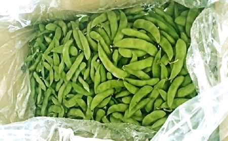 枝豆 約2kg
