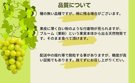 《鮮度抜群》シャインマスカット 約1.4kg 2～4房入り ぶどう 香川県産 種なし 果物