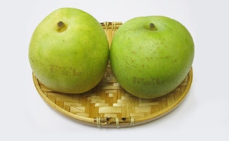 ホウナンの梨（二十世紀梨）約5kg