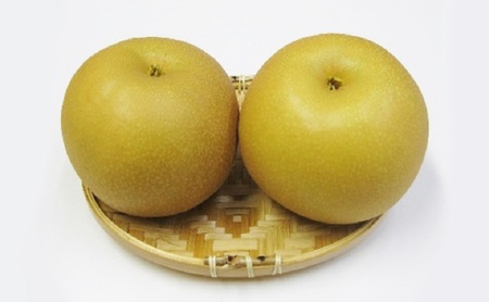 ホウナンの梨（あきづき）約5kg