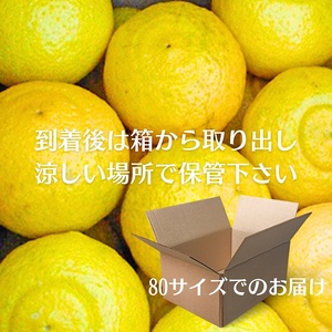 さわやかな甘さ「はるか」約5kg 果物類 柑橘類 フルーツ みかん 