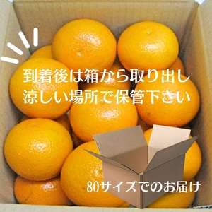 清見 約5kg 果物類 柑橘類 フルーツ みかん