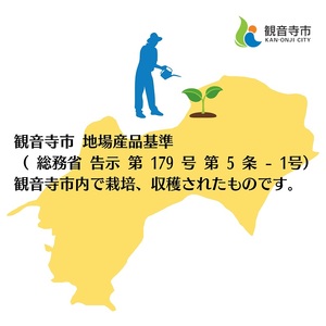 清見 約5kg 果物類 柑橘類 フルーツ みかん