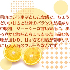 八朔 約10kg 果物類 みかん 柑橘類 フルーツ