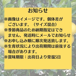 八朔 約10kg 果物類 みかん 柑橘類 フルーツ