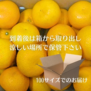 八朔 約10kg 果物類 みかん 柑橘類 フルーツ