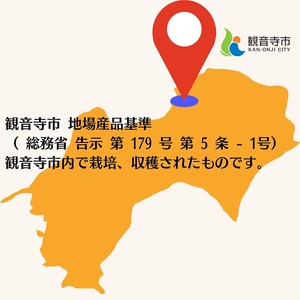 八朔 約10kg 果物類 みかん 柑橘類 フルーツ