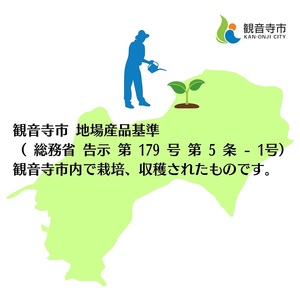 香川県オリジナルアスパラガス「さぬきのめざめロング」(春芽)約1kg 野菜 野菜セット