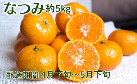 なつみ(カラマンダリン)約5kg 果物類 柑橘類 みかん フルーツ