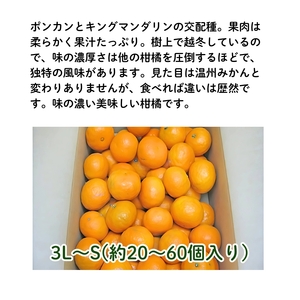 なつみ(カラマンダリン)約5kg 果物類 柑橘類 みかん フルーツ