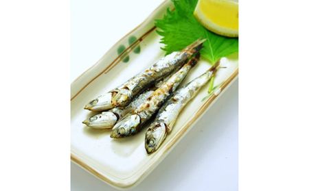 旨味がハンパない伊吹島「釜揚げいりこしょうゆ焼」 魚貝類 干物 カタクチイワシ