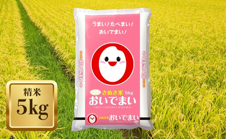 【令和7年産】　香川のお米 おいでまい 5kg お米 精米