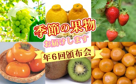 特産果実 定期便 (年間6回)