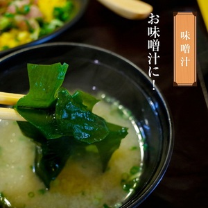 厳選！香川県産 天然湯通し 塩蔵わかめ1kg（200g×5袋） ワカメ 