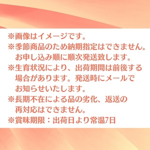 クインシー メロン（赤肉）約5kg 果物類 フルーツ メロン赤肉 