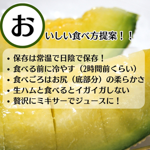 銭形メロン 2玉 化粧箱入り 約2.5kg　［アールスメロン］ 果物類 フルーツ 