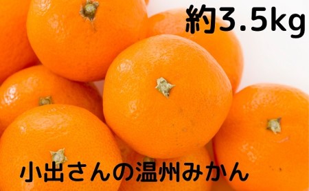 小出さんの温州 みかん 約3.5kg 果物類 柑橘類 フルーツ 