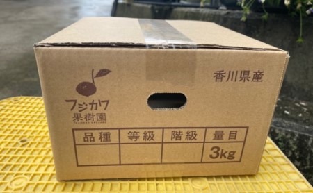 はれひめ 約3kg　2025年1月お届け！ 果物類 柑橘類 みかん フルーツ 