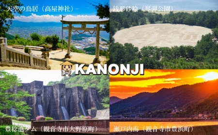 【９９％除菌・24時間抗菌・エンボスタイプ】流せるトイレクリーナー20枚　40個セット（便器・便座に/トイレの壁・床に/ミントの香り) 日本製 除菌効果 