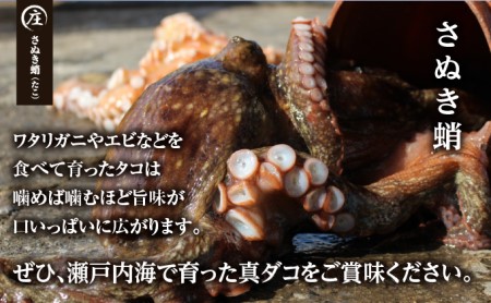 【定期便/年3回】鮮度抜群！使い勝手いいい！香川県産たこ足生冷凍1kg（4～6袋）（加熱用）