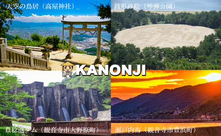 メイク落としコットンシート50枚入×10個セット