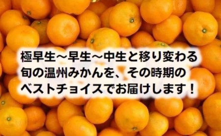 【7回頒布会】～フジカワ果樹園産地直送便～香川県産・彩り温州みかんセット 果物 柑橘 フルーツ 食べ比べ 