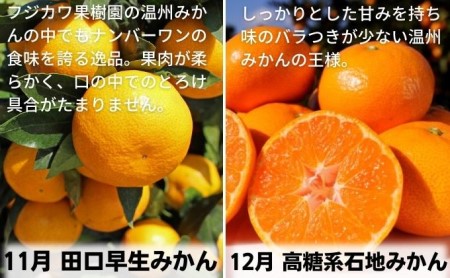 【9回頒布会】フジカワ果樹園オリジナル・新季節の柑橘セット 定期便 食べ比べ 