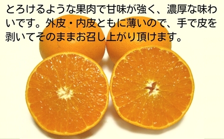 《訳あり》 せとか 約3kg 甘い みかん お取り寄せ  果物 くだもの 季節限定 柑橘 蜜柑 かんきつ おすすめ フルーツ 香川県観音寺市 