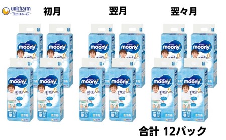 【3ヶ月連続定期便】ムーニーマン  男の子用 ビッグサイズ 38枚×4袋
