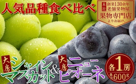 【2026年8月中旬より順次発送】大房シャインマスカット＆大房ニューピオーネ 各1房 （各約600g） ジューシー 濃厚 果汁たっぷり デザート 食後 国産 日本産 観音寺産 食べ比べ ブドウ食べ比べ 食べ物