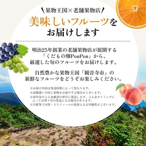 果物 旬の果物 旬のフルーツ お楽しみ デザート 食後 国産 果物 旬の果物 旬のフルーツ お楽しみ デザート 食後 国産