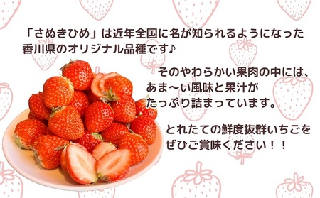 【2026年2月中旬より順次発送】秀品!さぬきひめ 8パック 果物 フルーツ 国産 日本産 いちご 香川県オリジナル品種 やわらかい 果汁たっぷり とれたて 鮮度抜群 デザート