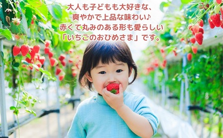 【2026年2月中旬より順次発送】秀品!さぬきひめ 8パック 果物 フルーツ 国産 日本産 いちご 香川県オリジナル品種 やわらかい 果汁たっぷり とれたて 鮮度抜群 デザート