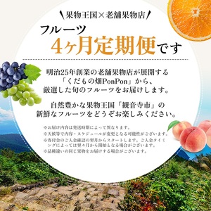 旬を見極めた、厳選フルーツ詰合せ定期便【観音寺コース】4ヶ月連続 果物 旬の果物 旬のフルーツ お楽しみ デザート 食後 国産 観音寺産 