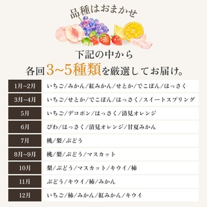 旬を見極めた、厳選フルーツ詰合せ定期便【観音寺コース】4ヶ月連続 果物 旬の果物 旬のフルーツ お楽しみ デザート 食後 国産 観音寺産 