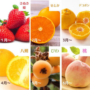 四季折々旬味覚！12ヶ月連続単品定期便♪ 苺 せとか デコポン 八朔 びわ 桃 
