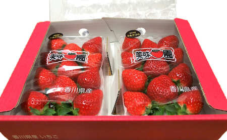  いちご イチゴ さぬきひめ 大粒 270g ×2パック 【2月～6月発送】