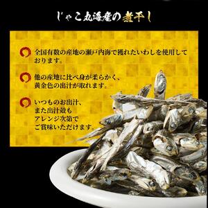 煮干し 900g(150g×6)【小分け セット いわし 鰯 カタクチイワシ 人気 出汁 おやつ おつまみ 香川県 さぬき市】