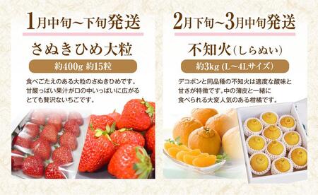 【定期便全10回】さぬき市 フルーツ定期便 (さぬきひめ 桃 ニューピオーネ シャインマスカット さぬきゴールド 柿 小原紅早生みかん デコポン せとか)【苺 いちご 葡萄 ぶどう キウイ 旬 人気 果物 くだもの 柑橘 フルーツ 香川県】