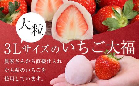 【1月発送】フルーツ大福 さぬき姫のかほり餅 8個入り【いちご 苺 大福 いちご大福 スイーツ お菓子 和菓子 さぬき市 志度 風月堂】