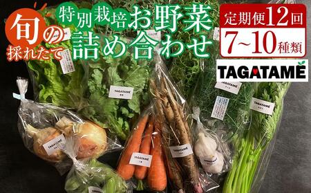 【定期便全12回】旬の採れたて 7～10種類お野菜詰め合わせセット(1～2名様) TAGATAME タガタメ【野菜 特別栽培  有機野菜 農薬不使用 旬 無農薬】