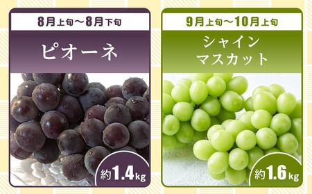 【全9回】極みのフルーツ定期便 (化粧箱入り)