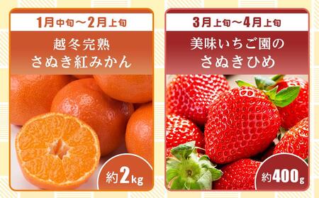 【全6回】極みのフルーツ定期便 (化粧箱入り)